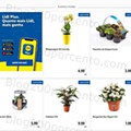 01 Promoções-Descontos-44560.jpg
